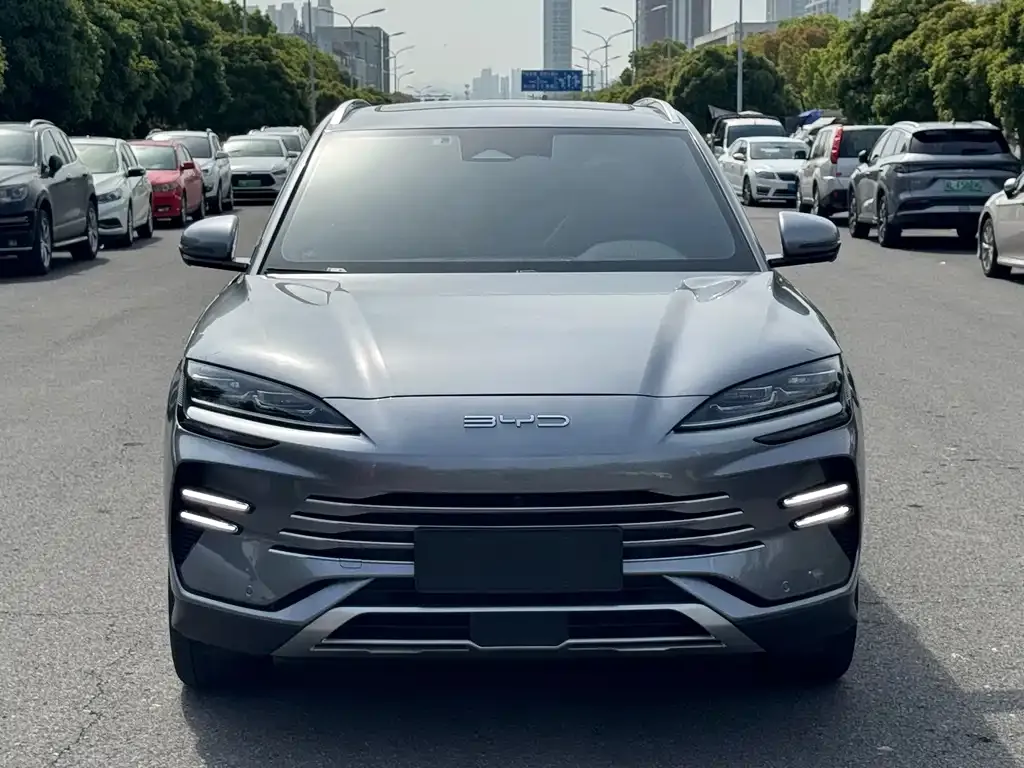 BYD PLUS New Energy — фото 10