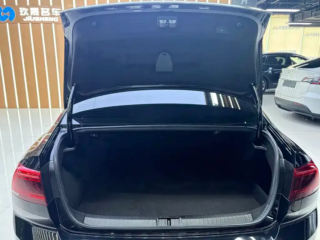 Volkswagen Magotan GTE PHEV 2023 из CN, фото 9