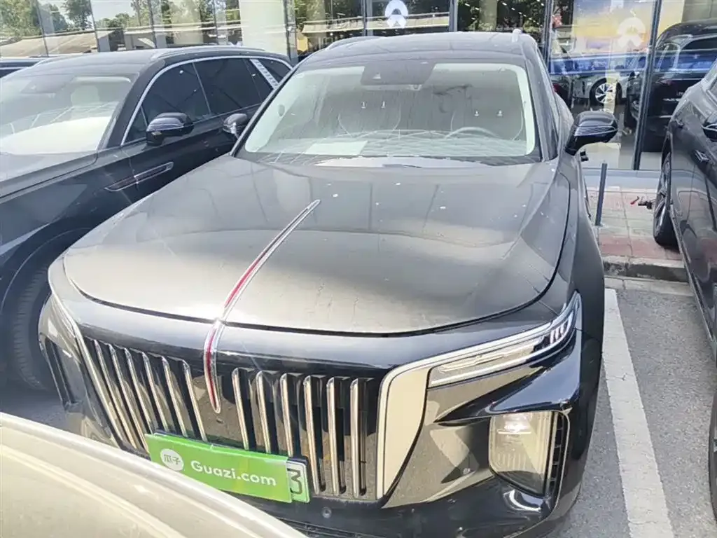 Hongqi E-HS9 2023 из CN, фото 9