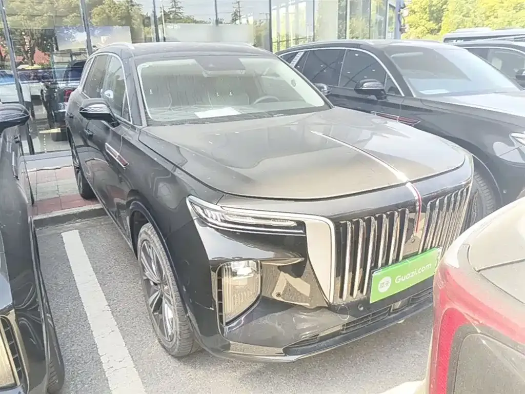 Hongqi E-HS9 2023 из CN, фото 8
