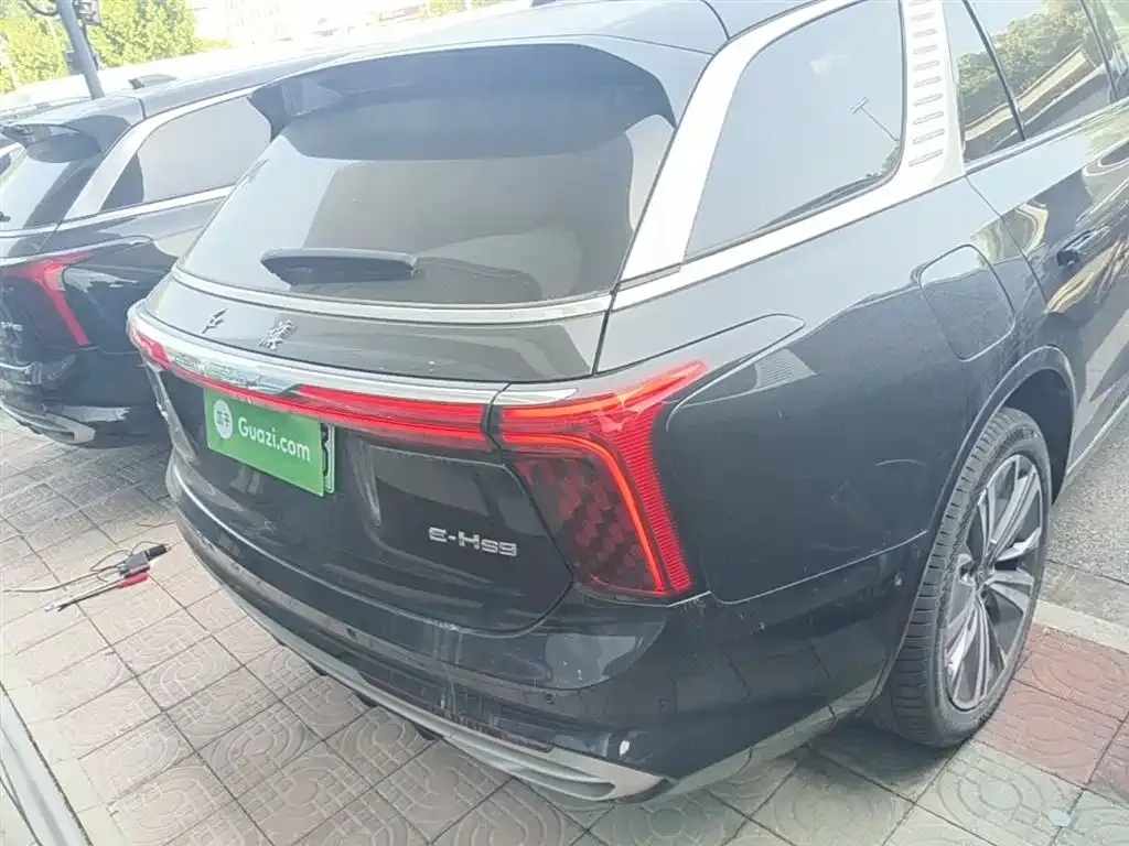 Hongqi E-HS9 2023 из CN, фото 6