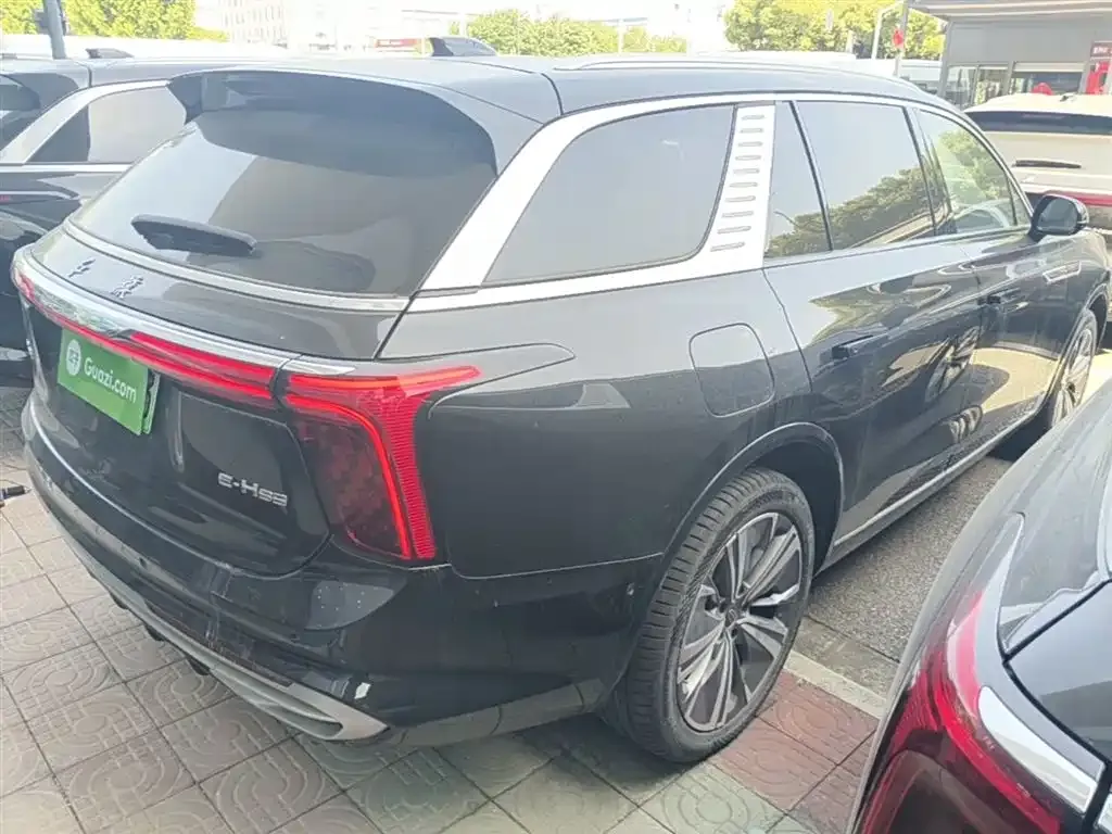 Hongqi E-HS9 2023 из CN, фото 10