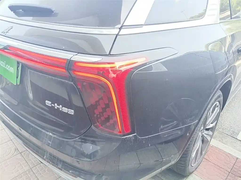 Hongqi E-HS9 2023 из CN, фото 7