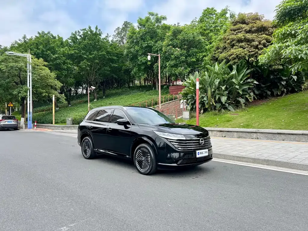 Nissan Teramont 2024 из CN, фото 5