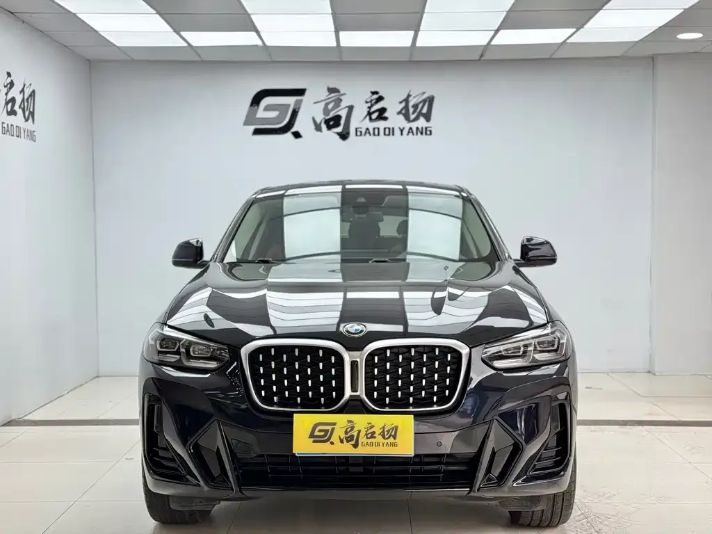 BMW X4 2022 из CN, фото 3