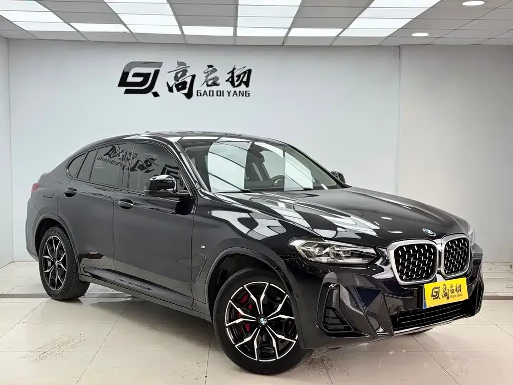 BMW X4 2022 из CN, фото 4