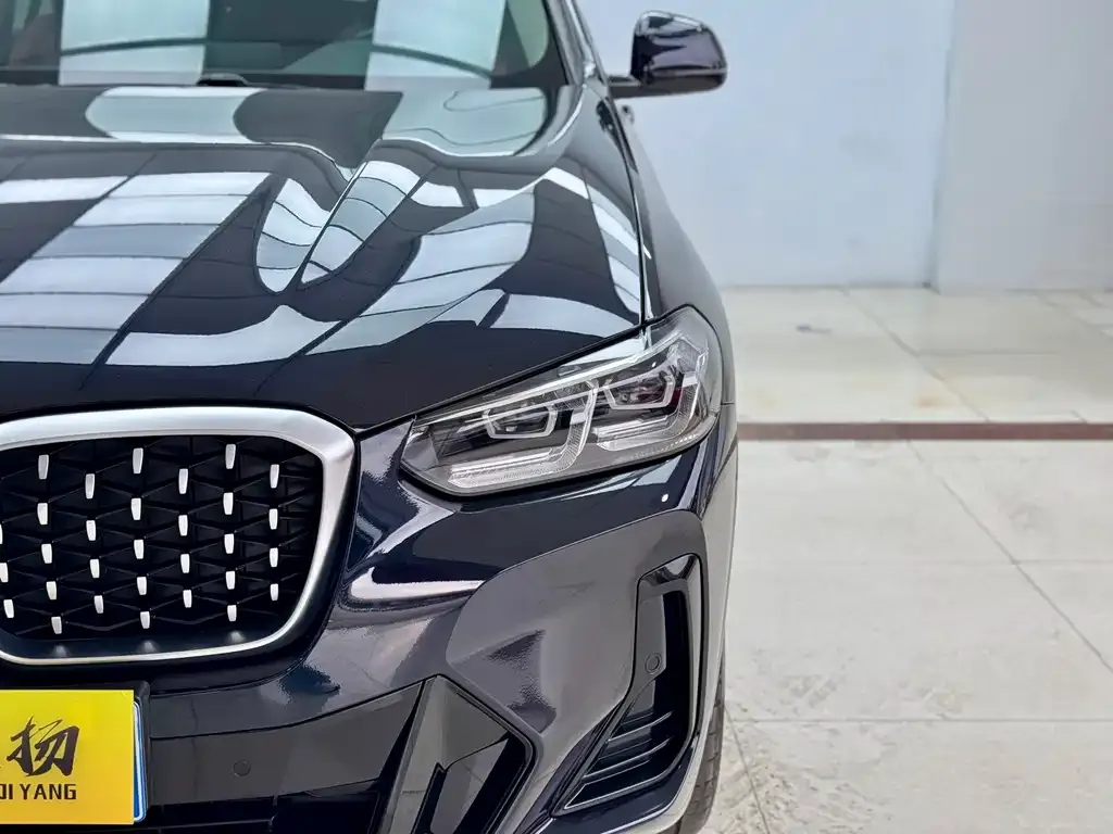 BMW X4 2022 из CN, фото 9