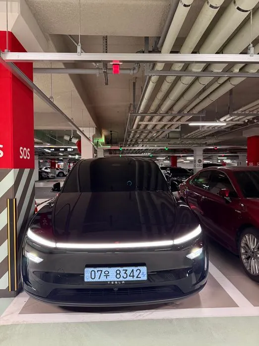Tesla Model Y — фото 1
