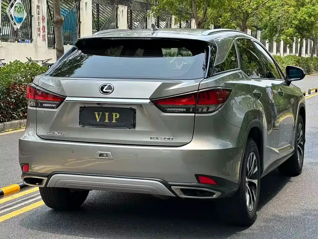 Lexus RX 2021 из CN, фото 10