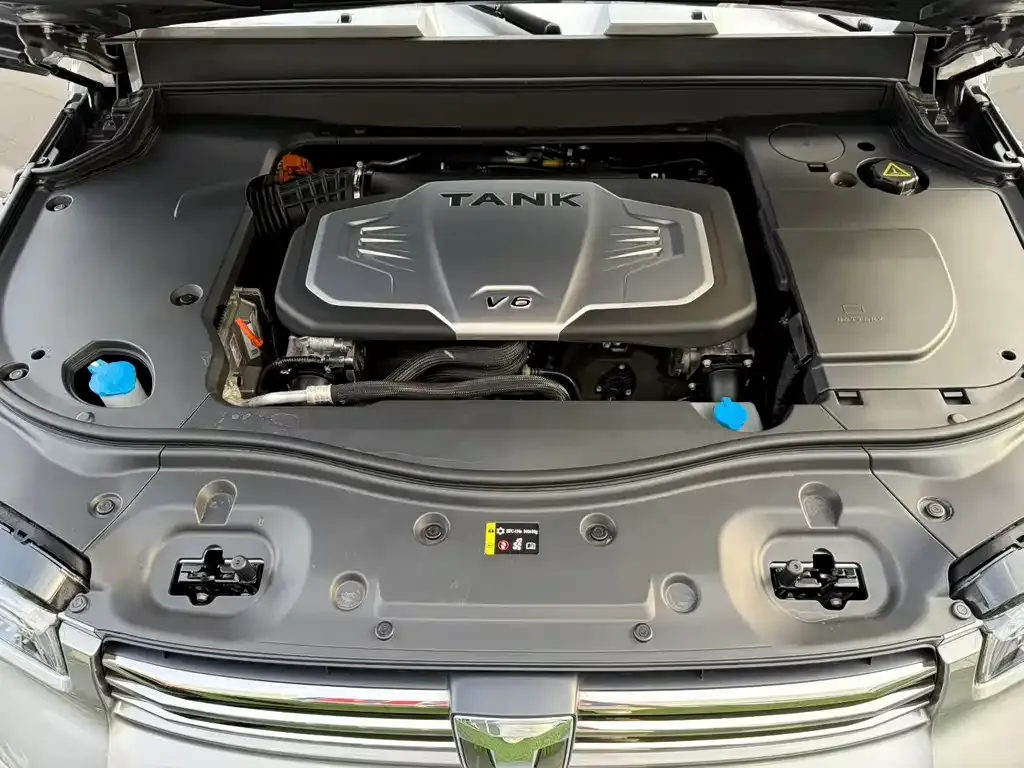 Tank 700 New Energy 2024 из CN, фото 6