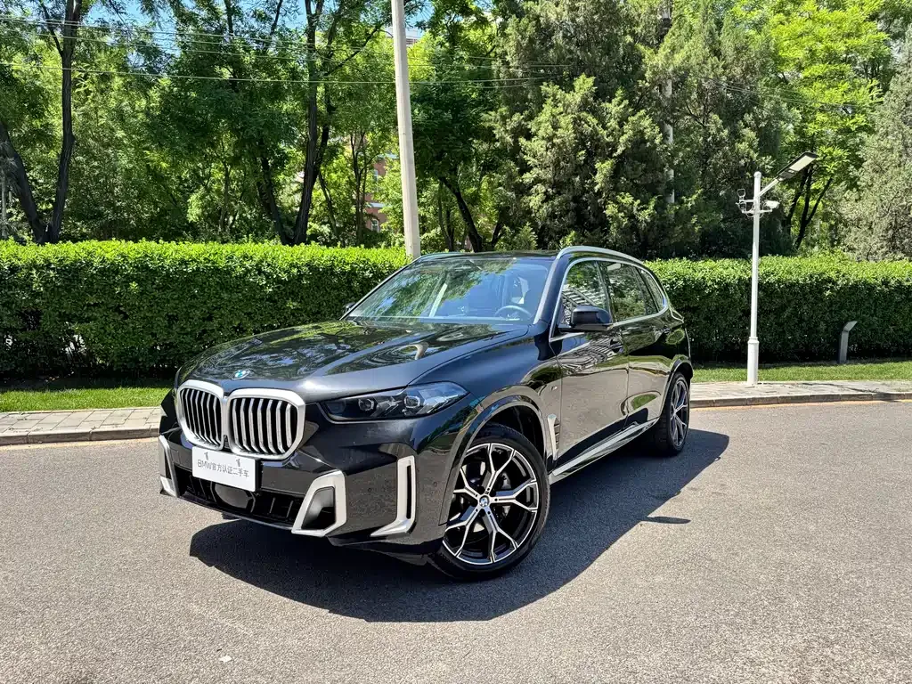 BMW X5 — фото 1