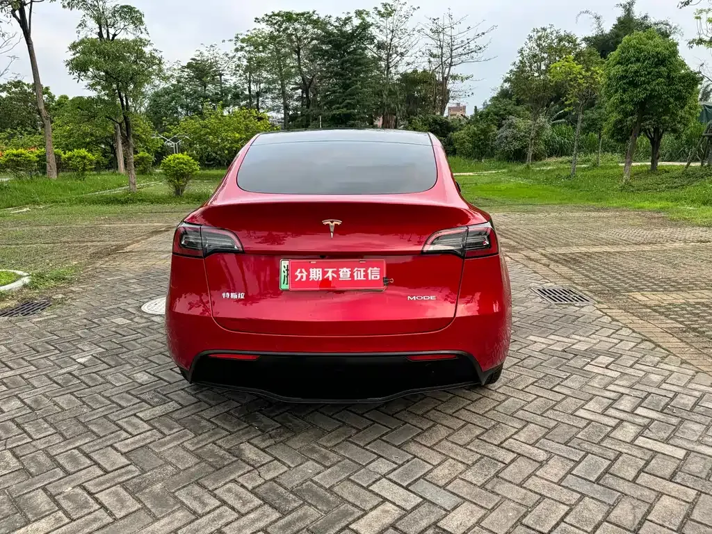Tesla Model Y 2023 из CN, фото 4