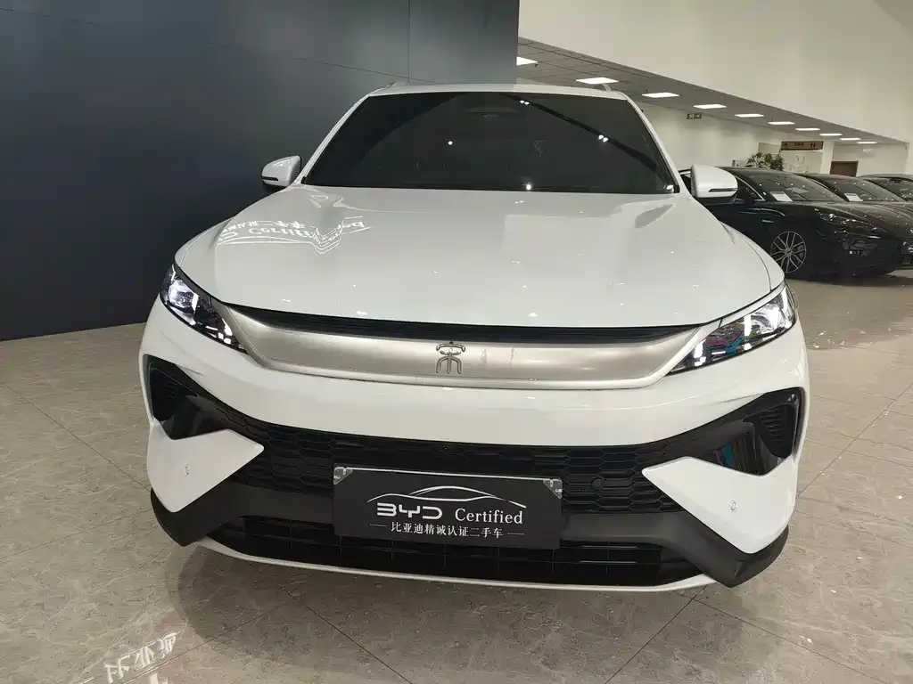 BYD Pro New Energy — фото 3