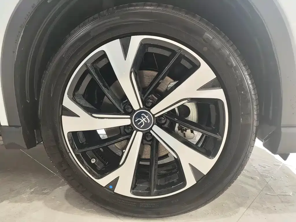 BYD Pro New Energy — фото 2