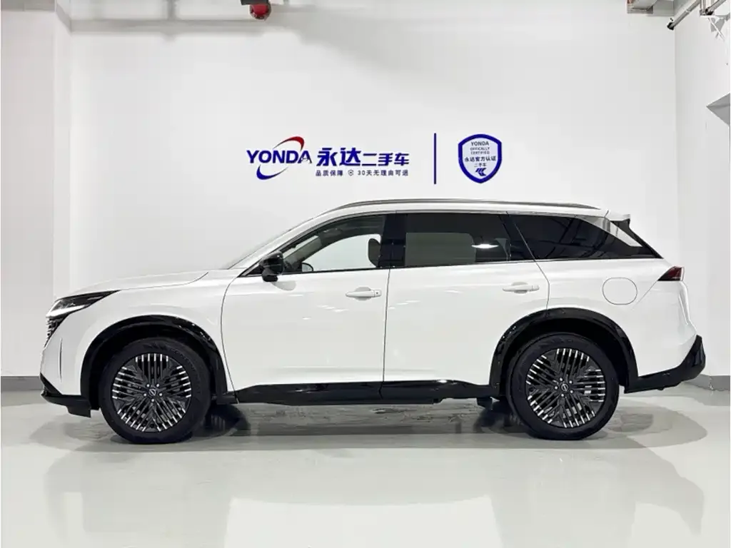 Nissan Teramont 2024 из CN, фото 9