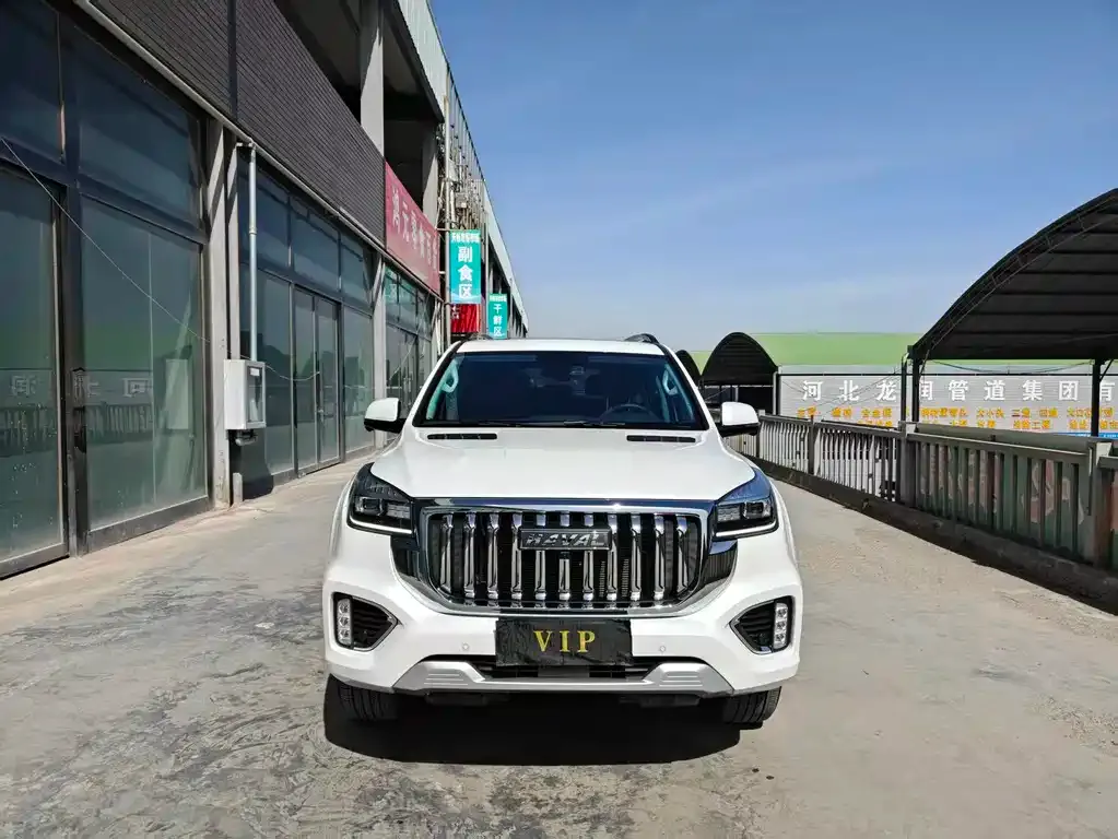 Haval H9 2024 из CN, фото 7