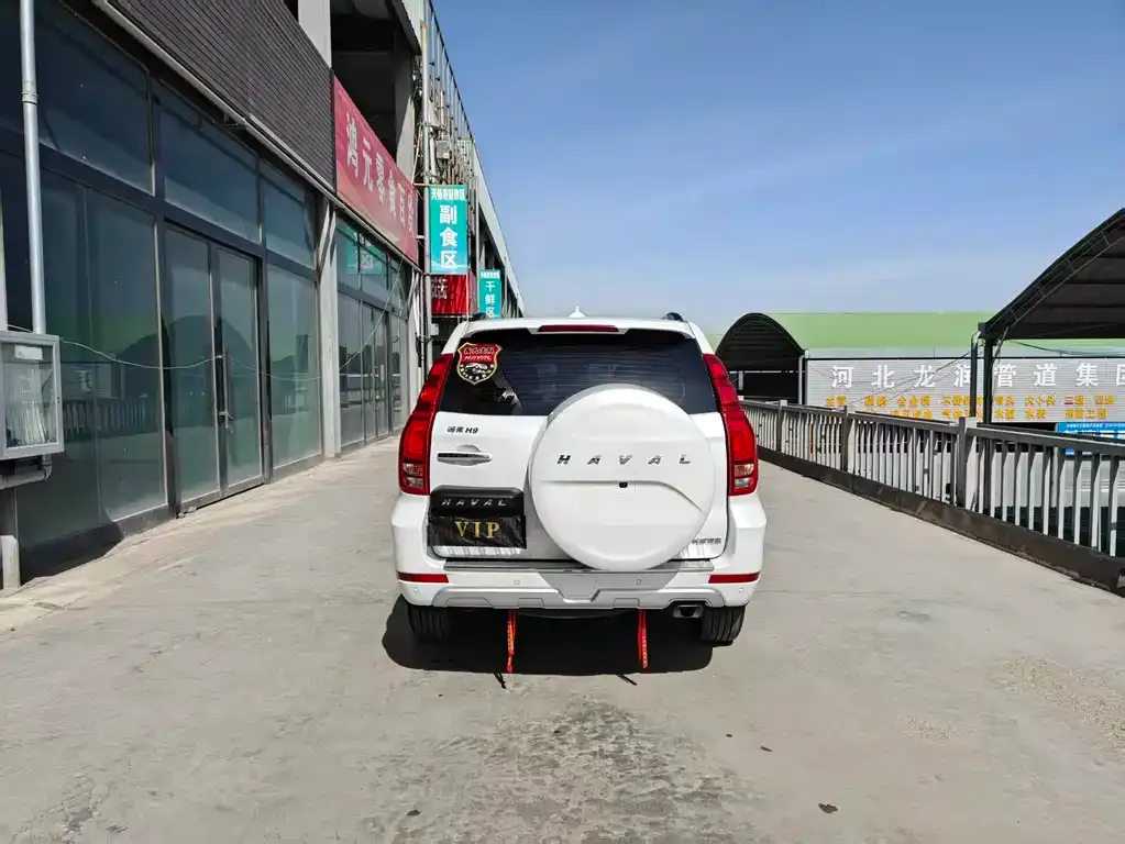 Haval H9 2024 из CN, фото 9