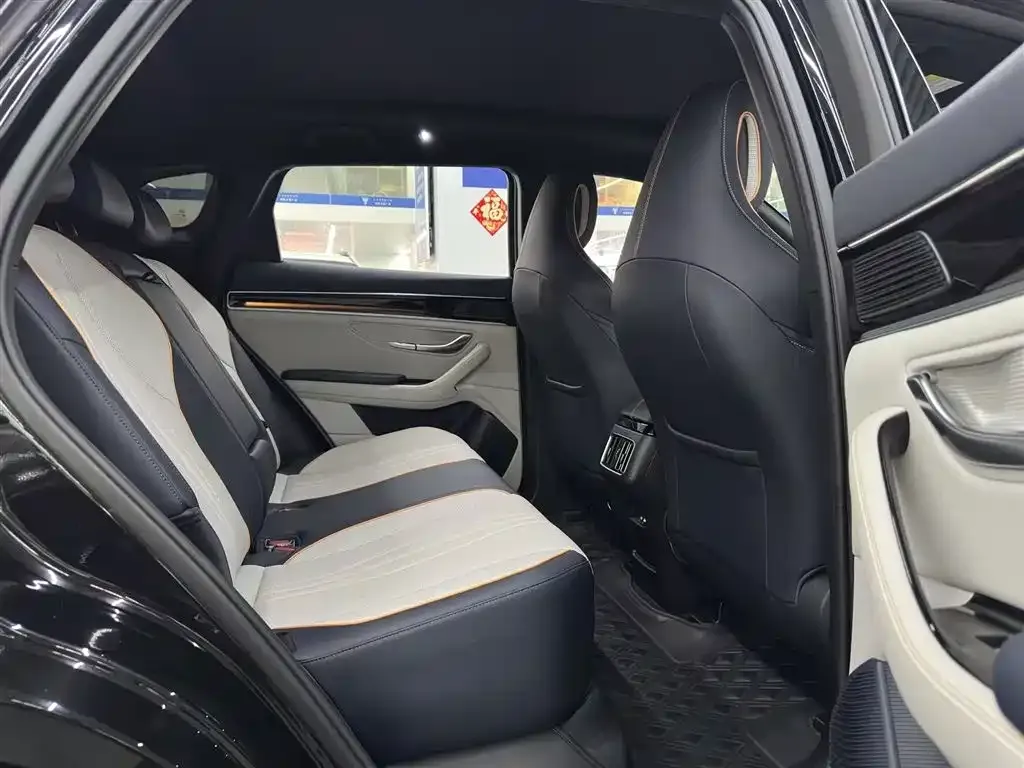 BYD PLUS New Energy 2022 из CN, фото 3