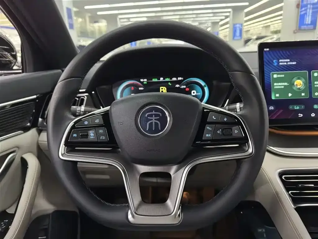BYD PLUS New Energy 2022 из CN, фото 6