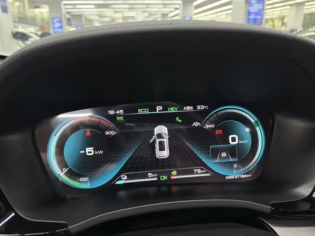 BYD PLUS New Energy 2022 из CN, фото 2