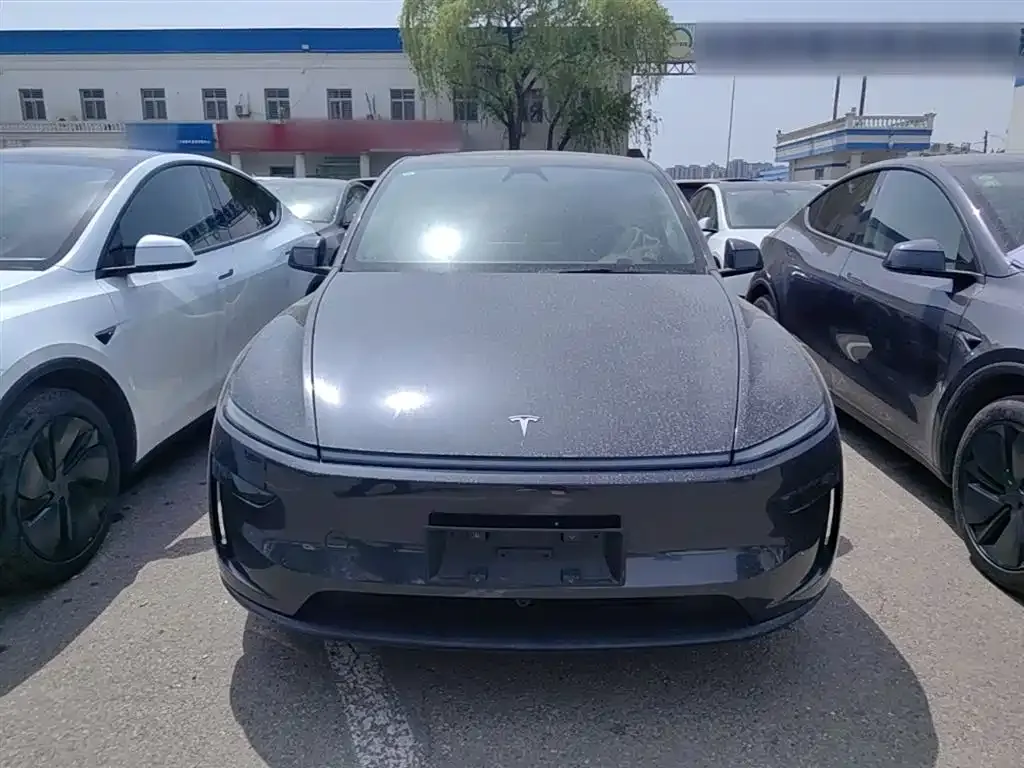 Tesla Model Y 2025 из CN, фото 6