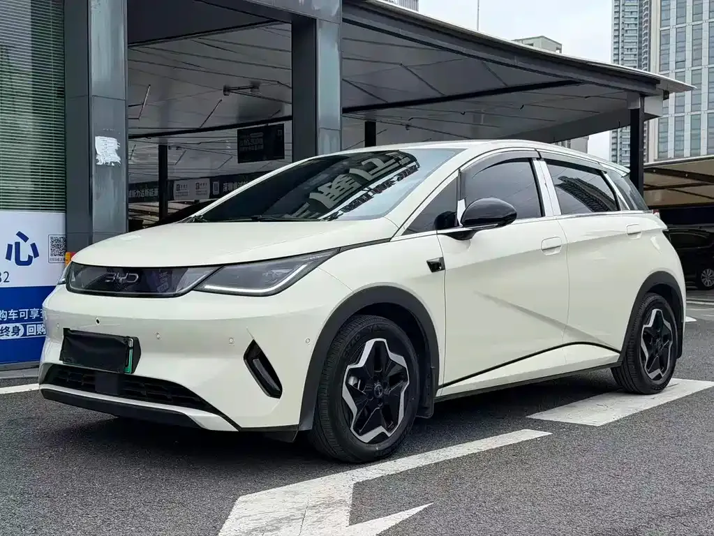 BYD Dolphin 2025 из CN, фото 1