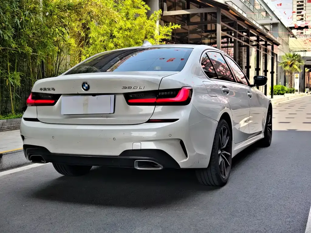 BMW 3 Series 2021 из CN, фото 9