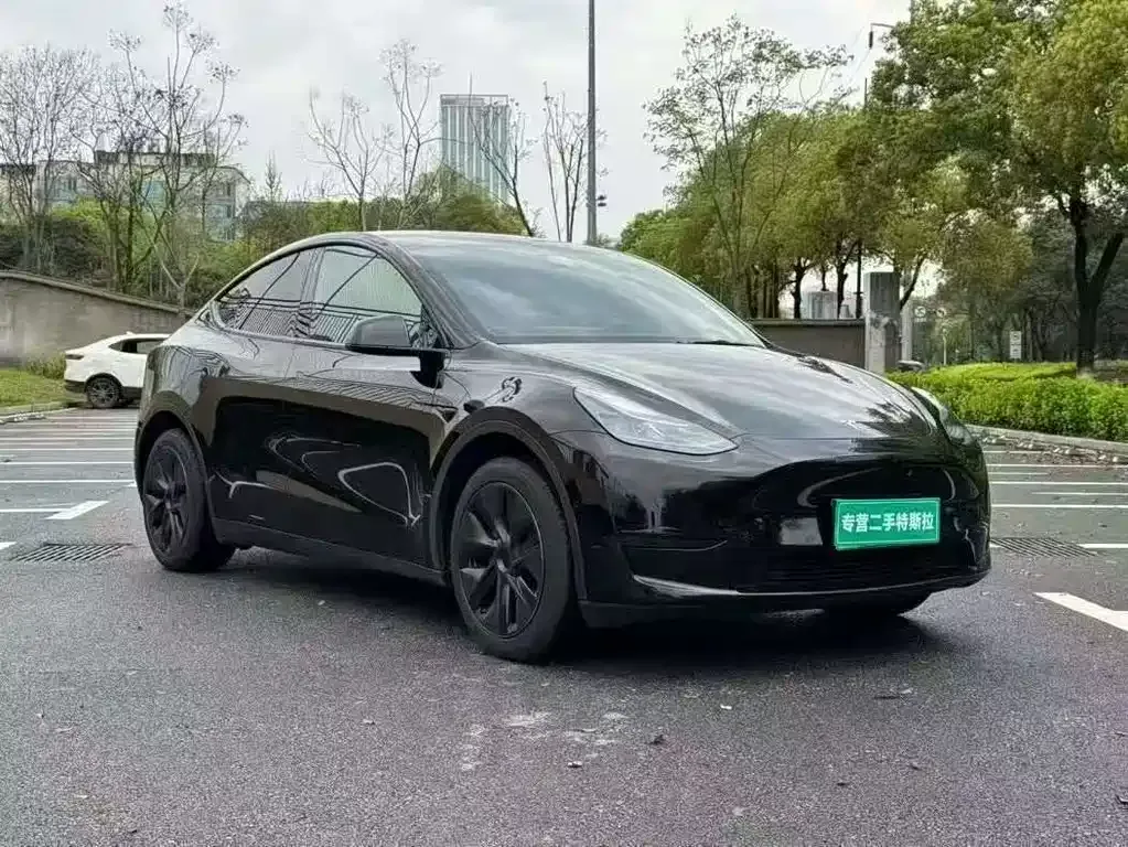 Tesla Model Y — фото 3