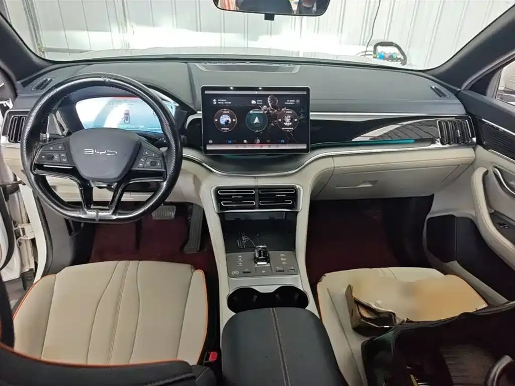 BYD PLUS New Energy — фото 10