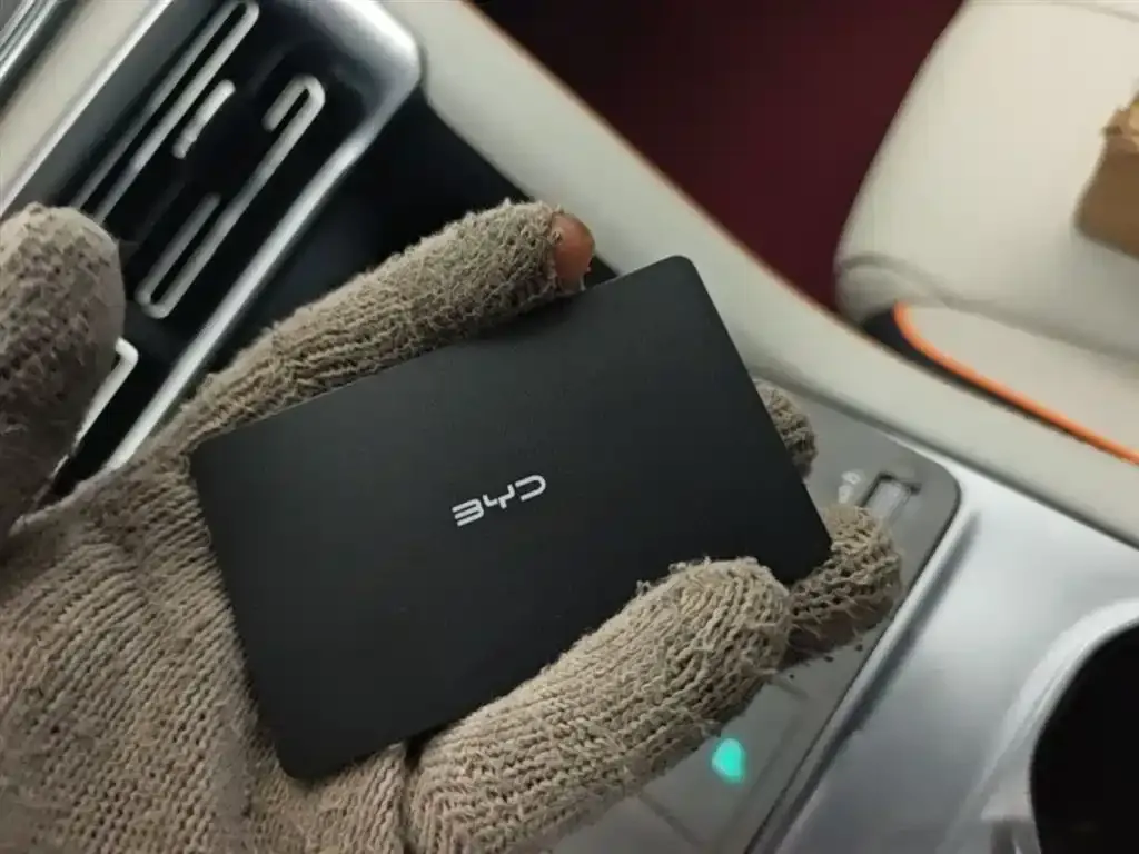 BYD PLUS New Energy — фото 2