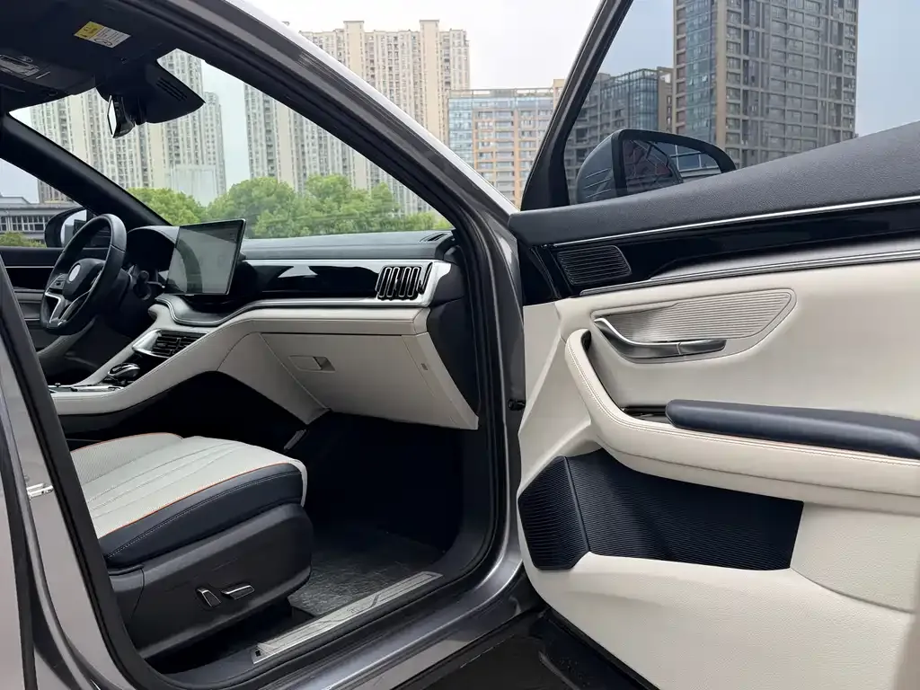 BYD PLUS New Energy — фото 2