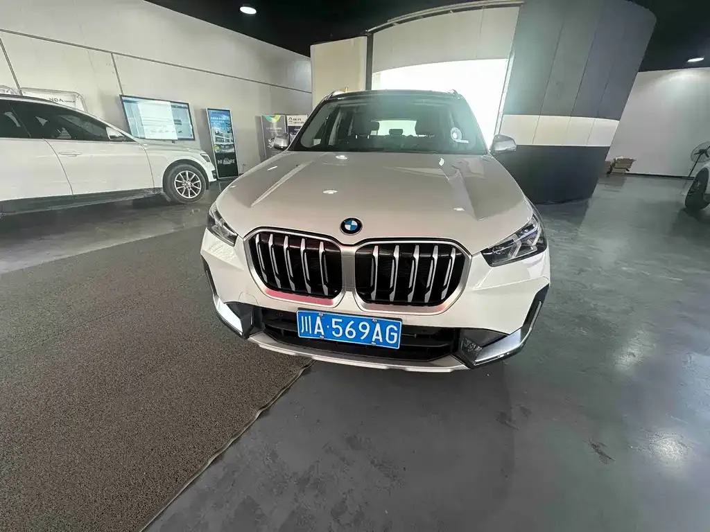 BMW X1 2024 из CN, фото 9