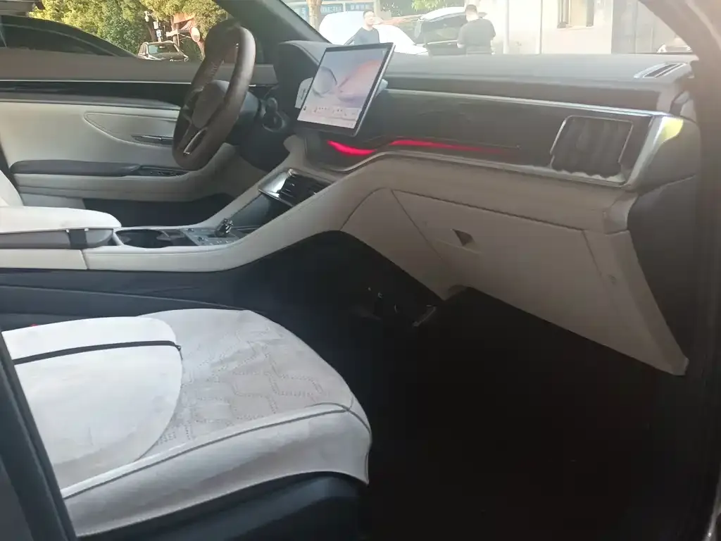 BYD PLUS New Energy 2025 из CN, фото 4