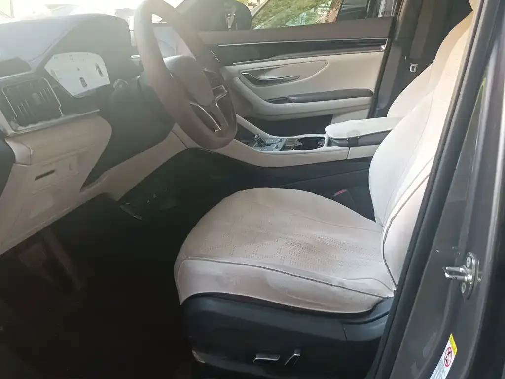BYD PLUS New Energy 2025 из CN, фото 3