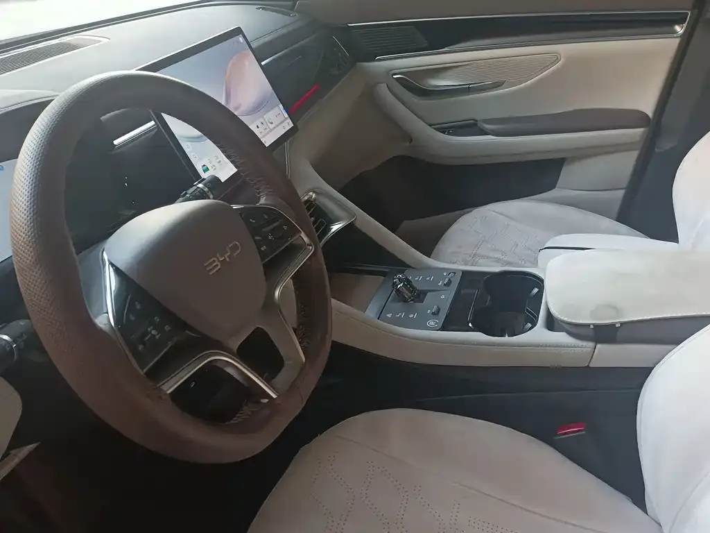 BYD PLUS New Energy 2025 из CN, фото 6