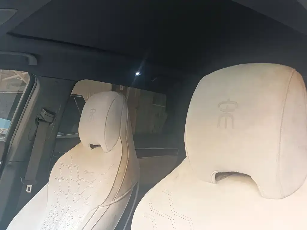 BYD PLUS New Energy 2025 из CN, фото 2