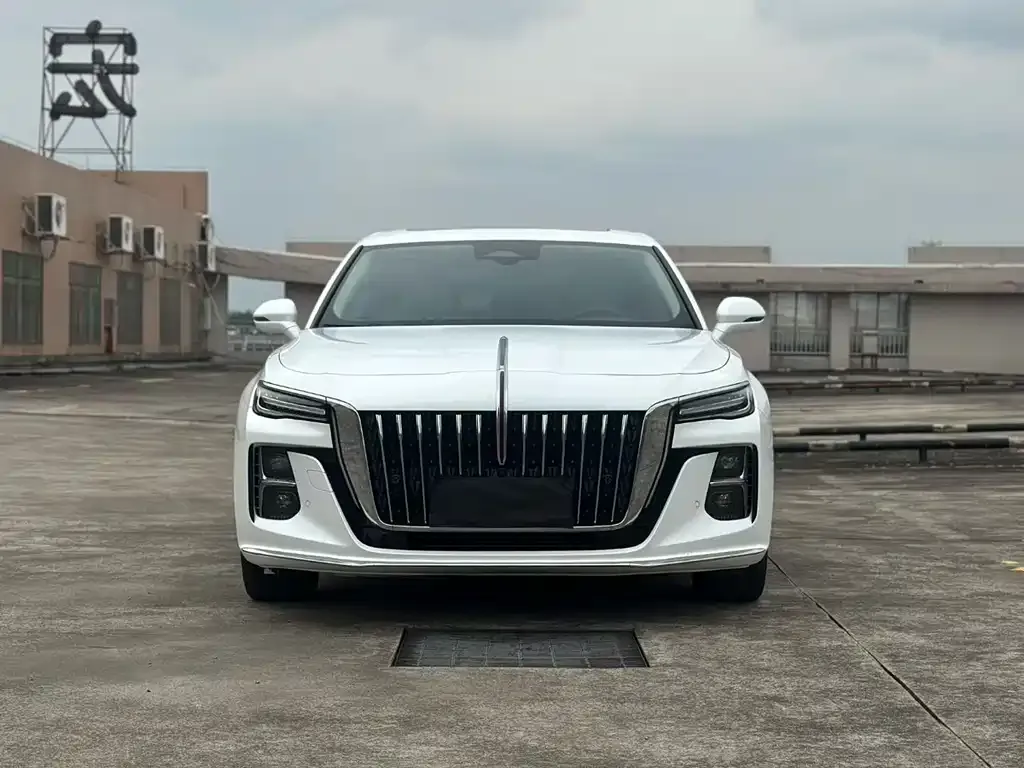 Hongqi H5 2022 из CN, фото 2