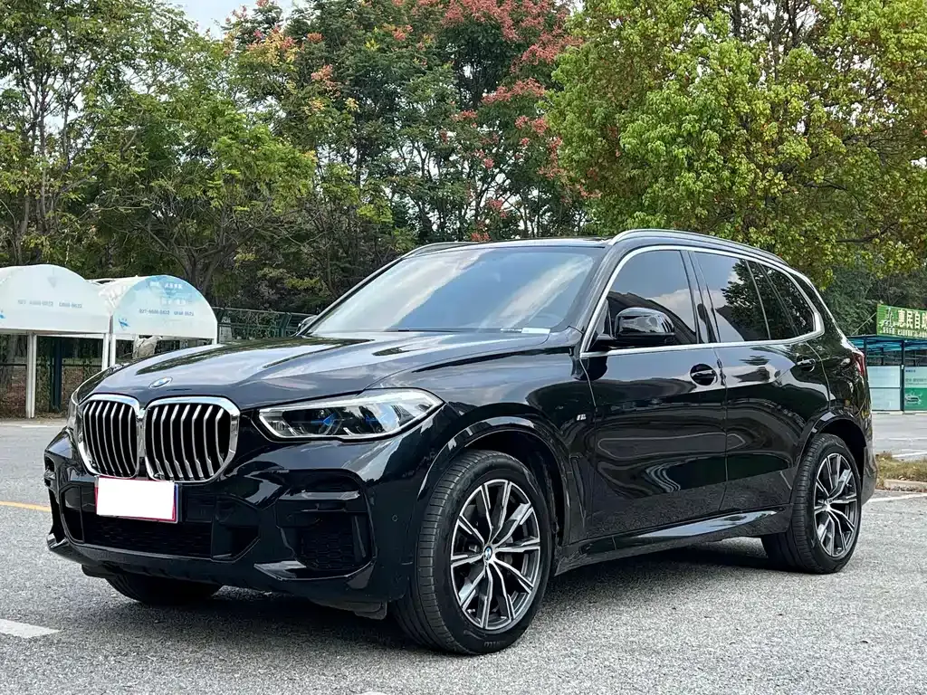 BMW X5 (Import) — фото 1