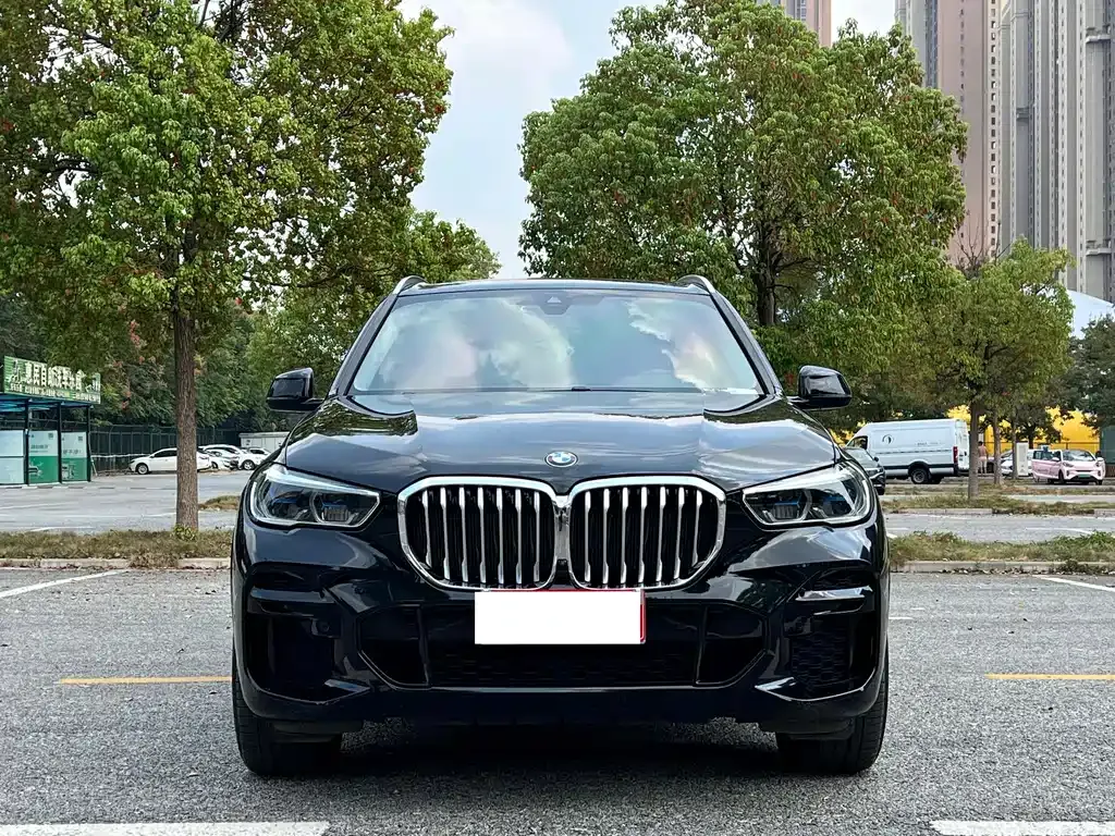 BMW X5 (Import) — фото 6