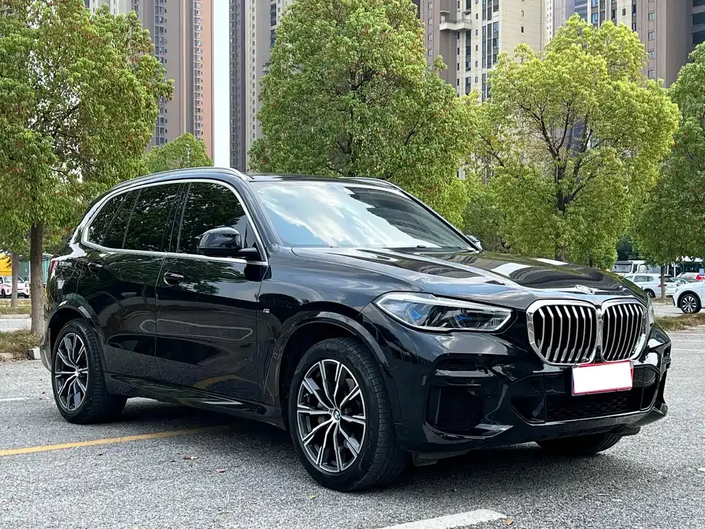 BMW X5 (Import) — фото 10