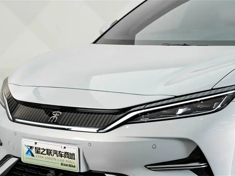 BYD L EV 2024 из CN, фото 2