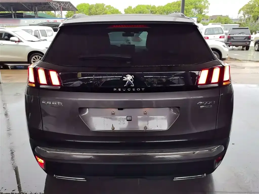 Peugeot 4008 2022 из CN, фото 9