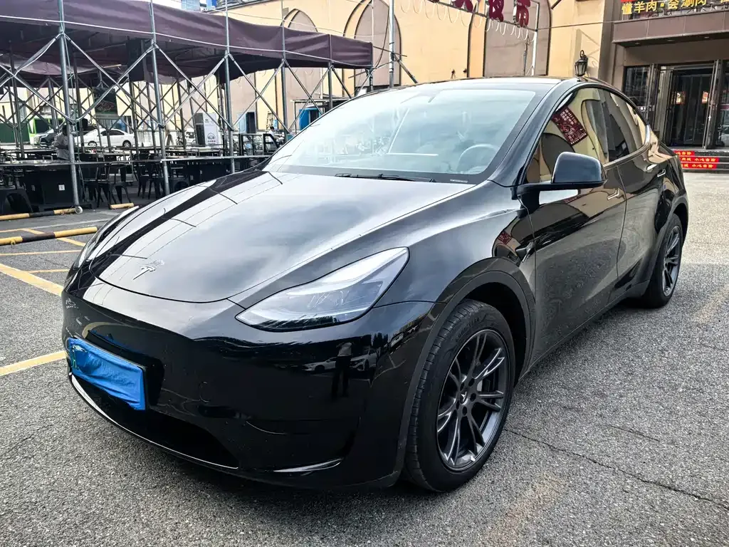 Tesla Model Y — фото 1