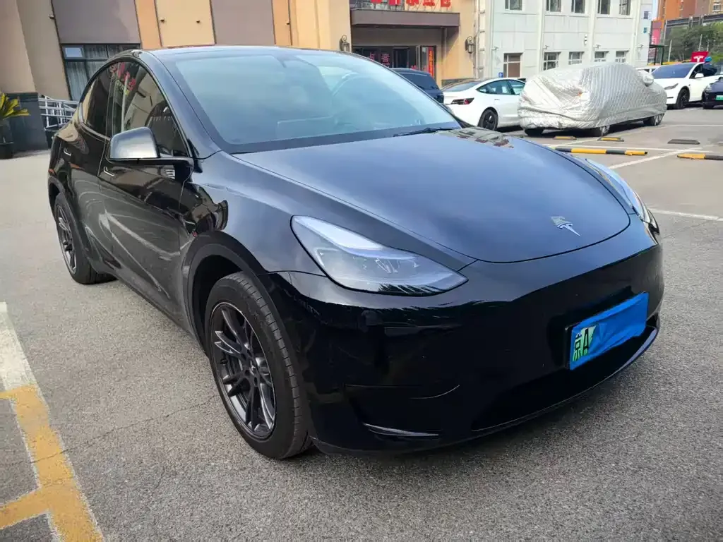 Tesla Model Y — фото 6