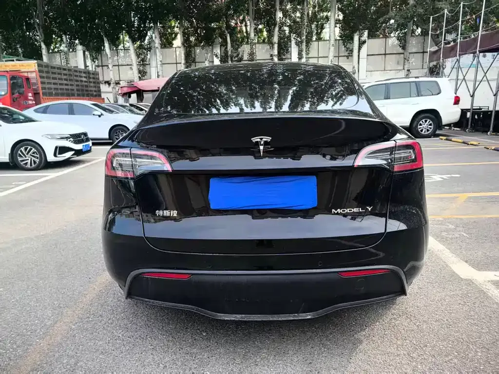 Tesla Model Y — фото 9