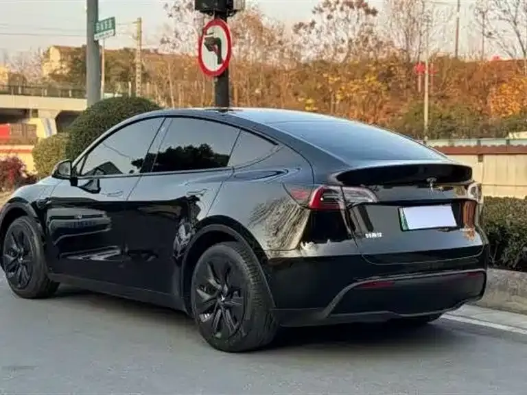 Tesla Model Y 2023 из CN, фото 5
