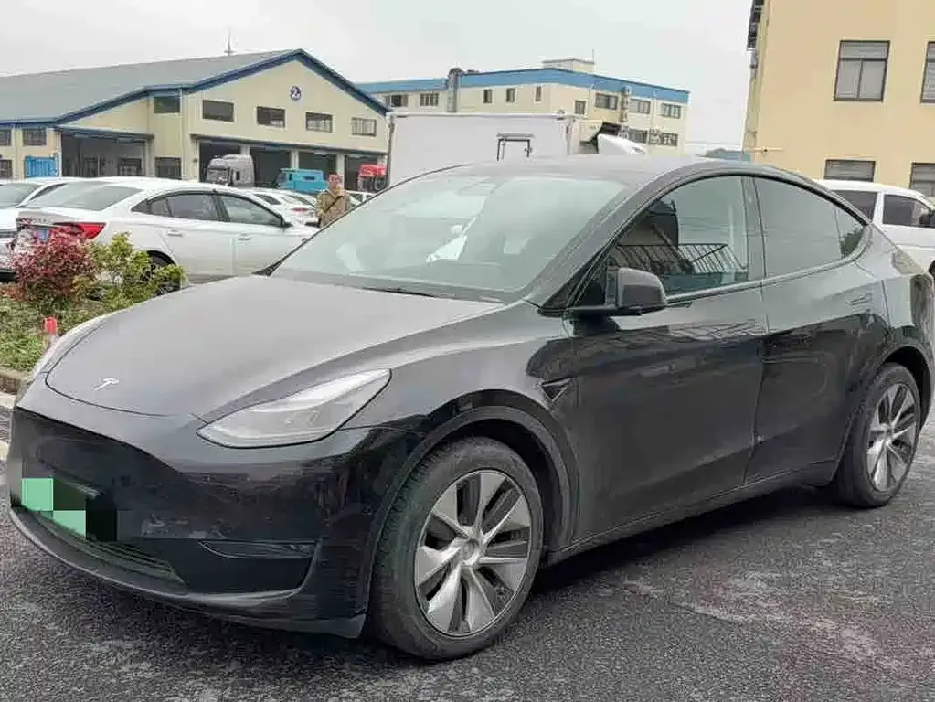 Tesla Model Y 2021 из CN, фото 4