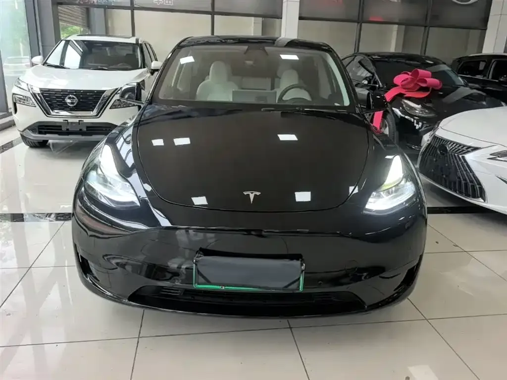 Tesla Model Y 2023 из CN, фото 5