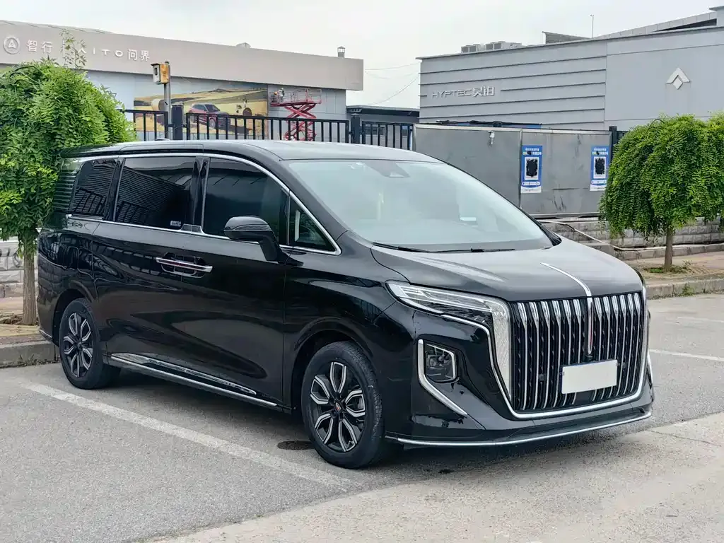 Hongqi HQ9 2023 из CN, фото 10
