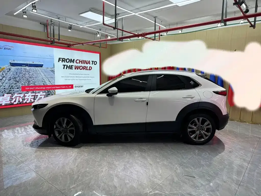 Mazda CX-30 2021 из CN, фото 5